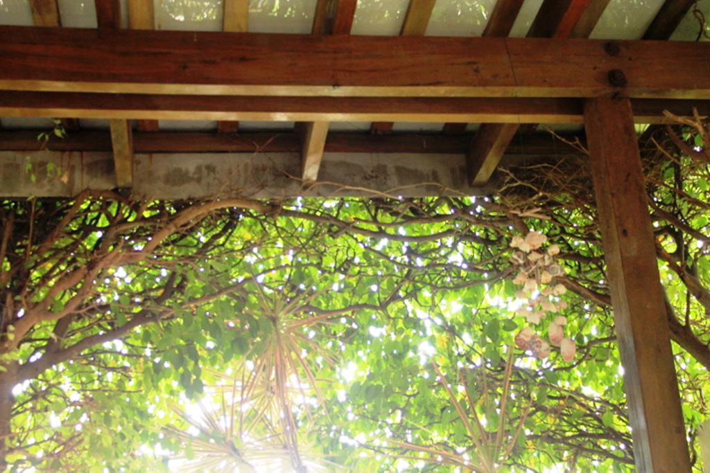 Hotel Boutique Valverde Cumbres De La Escalon Mexicanos Eksteriør bilde
